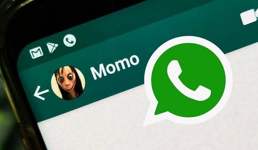 Momo whatsapp что это