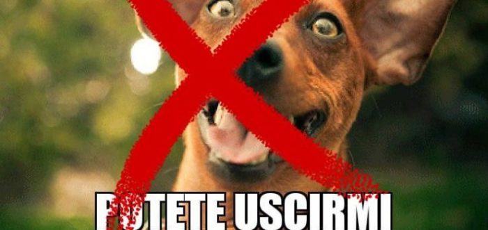 Accademia della Crusca esci il cane e siedi il bambino