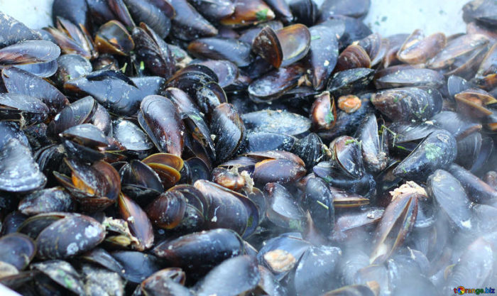 Come pulire le cozze nere con il sale grosso e velocemente a casa