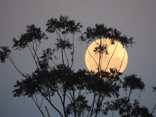 Diretta streaming Superluna 19 febbraio 2019