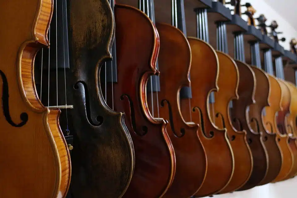 fila di violini