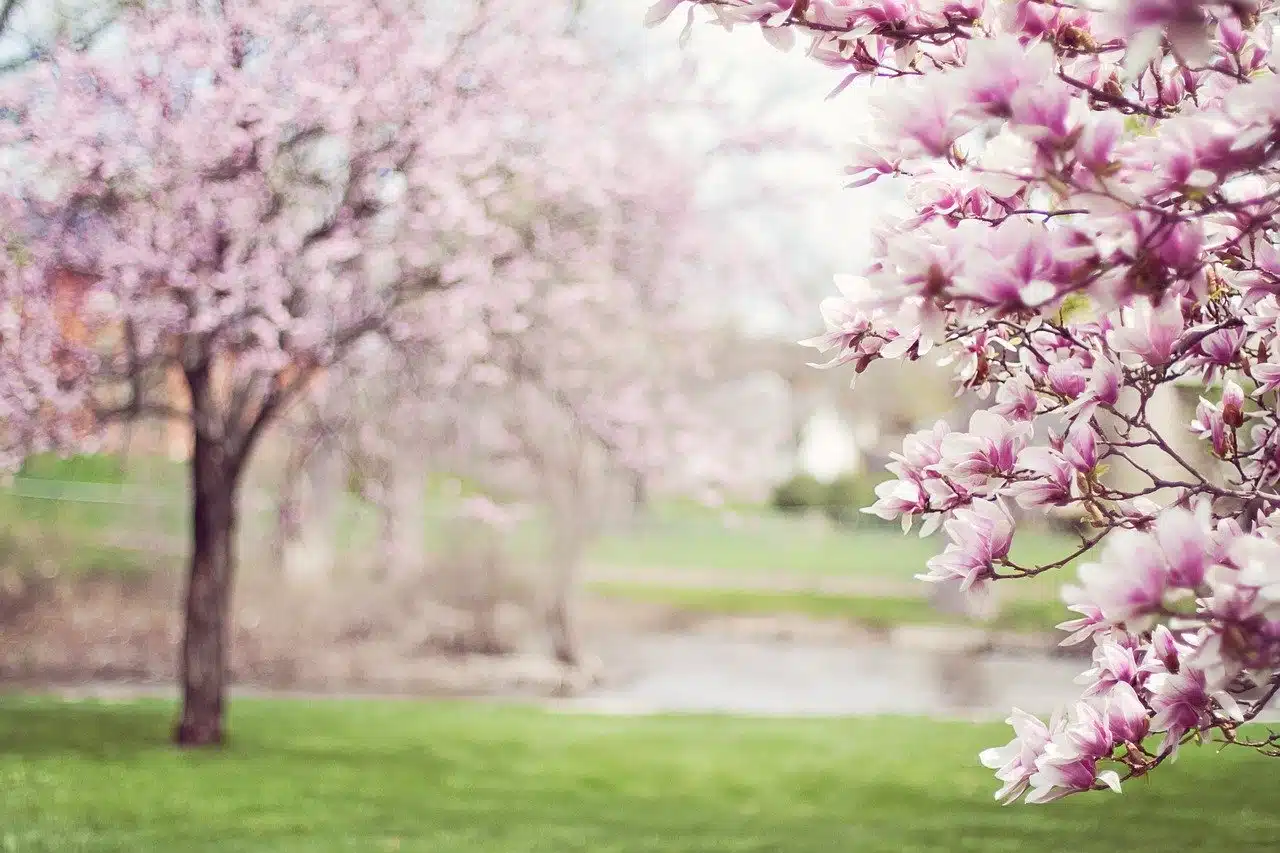 Quando inizia la primavera 2020