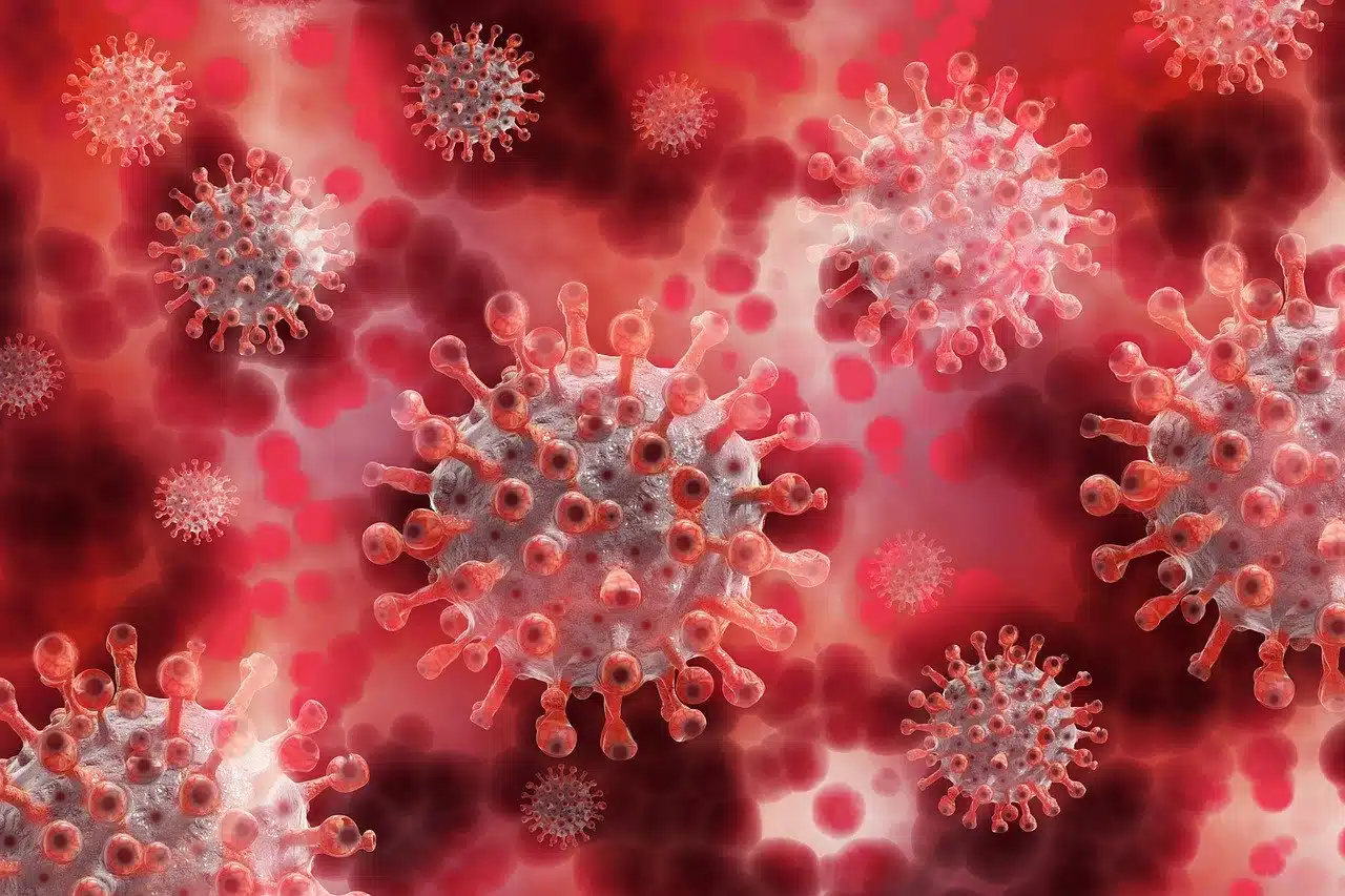 Coronavirus ultime notizie aumento contagi