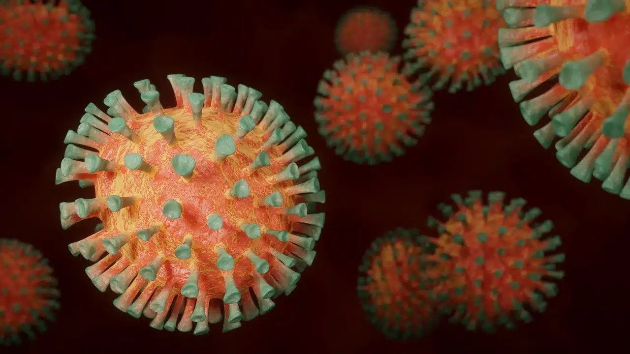 Focolaio Mondragone coronavirus